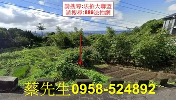 士林區中山北路七段種菜地