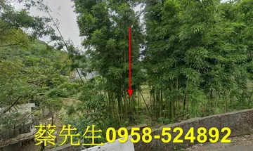 南港舊莊街二段休閒地