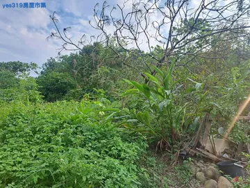 大柑園北園段農地全