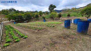 北埔~平坦農地+林地