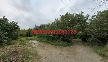 新竹市舊港島103坪土地