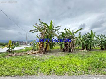 馬場對面農地花蓮買房買地葉小巢