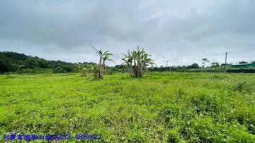 市區石壁景觀美之農地