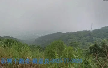 社頭湳雅山坡地