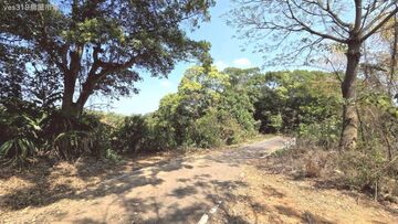 芬園楓坑段持分林地(一)