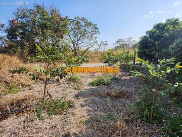 彰化市環中路旁平坦農地