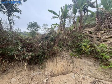 ★采吉★中寮分水療超便宜農地