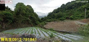 仁愛鄉德鹿谷村農地