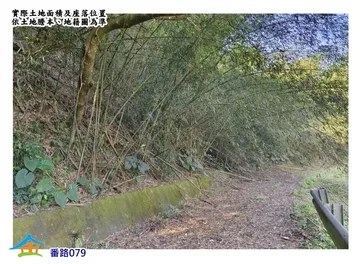4/8特拍★番路山區林地