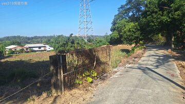 公告應買★民雄農地