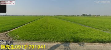 東石中安里農保地