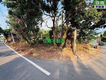 竹崎166縣道農地