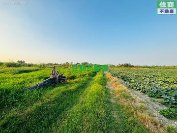 民雄鑽石新城旁大筆農地