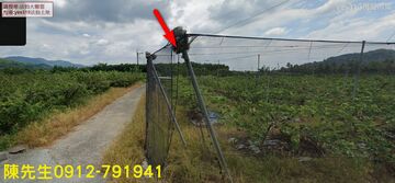 楠西區楠西里農場地