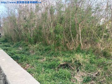 全國-許家臨路建地路建地