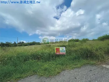 山水東臨海景美地