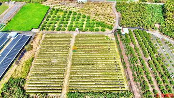 農科映田｜三分方正美農地S