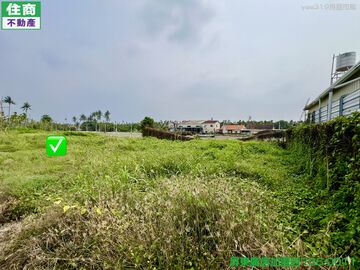 內埔海尼根旁都農