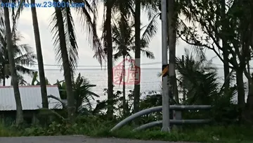 成功八嗡嗡省道旁低總價農地